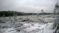 Uusi joulukuinen aukko sotki ratasuunnittelua...