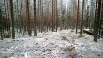 Näkymä rastille tulosuuntaan. 
