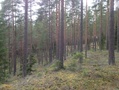 Kuvat 30.4. maastokäynniltä.