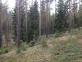 Kuvat 30.4. maastokäynniltä.