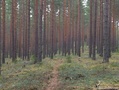 Kuvat 30.4. maastokäynniltä.