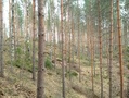 Kuvat 30.4. maastokäynniltä. 