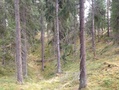 Kuvat 30.4. maastokäynniltä.