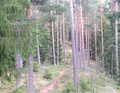Kuvat 30.4. maastokäynniltä.